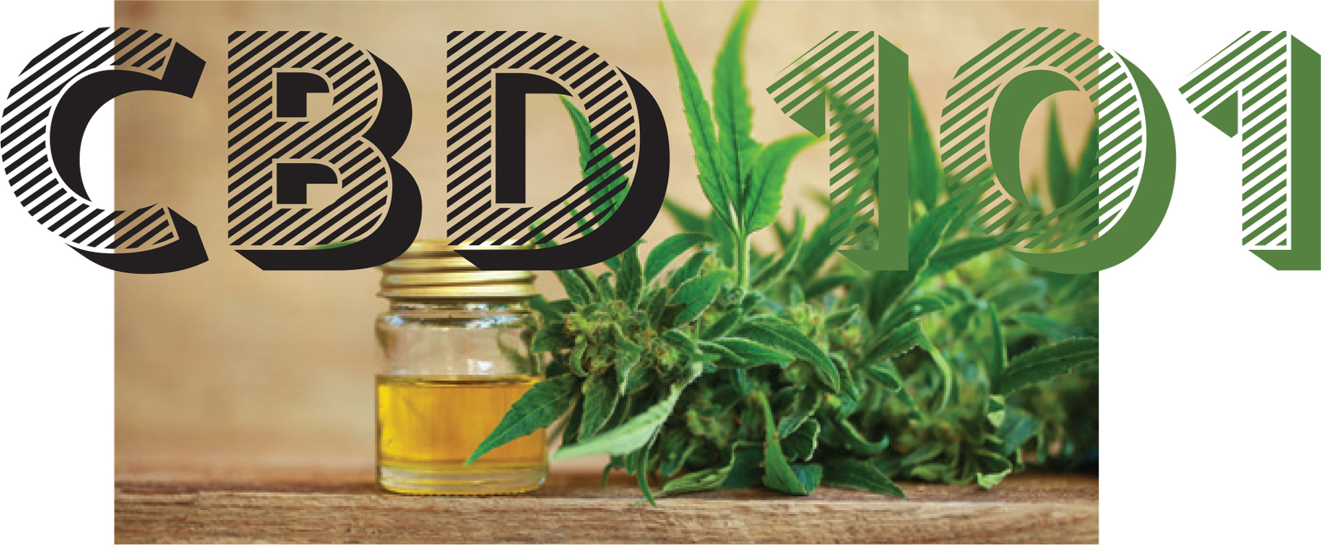 CBD 101