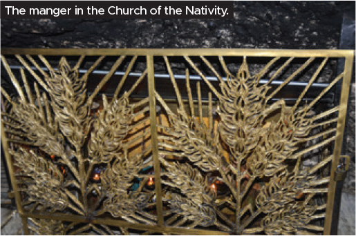 Gems of Israel and Jordan