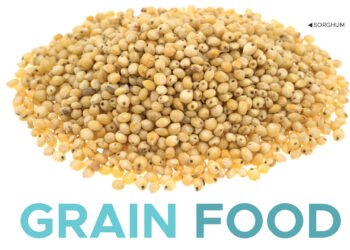 Grain Food