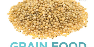 Grain Food