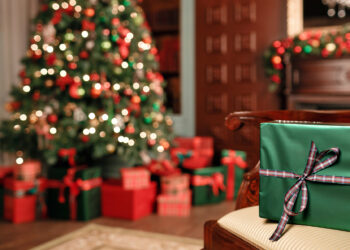 Our Holiday Gift Guide