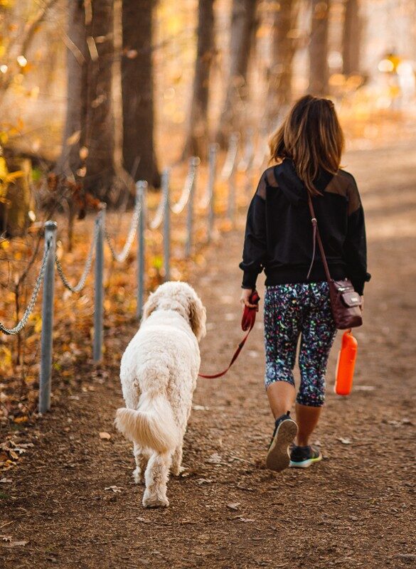 Low-intensity steady-state cardio exercise for managing perimenopause symptoms